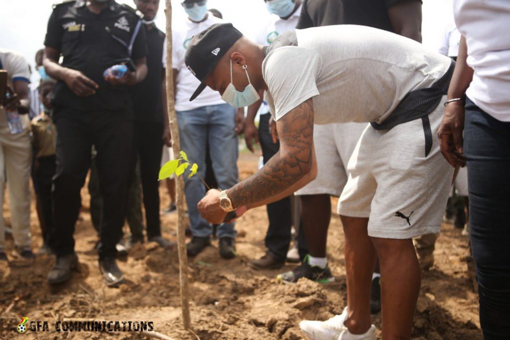 Black stars have had a tree-planting session before their last training.