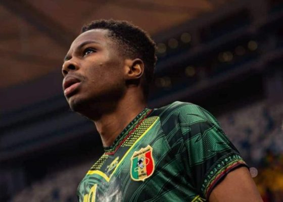 Mali without Sangare for this window