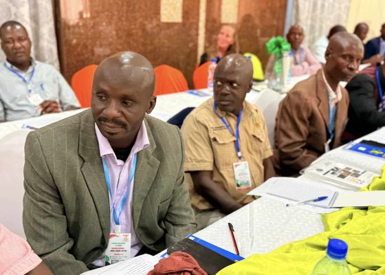 FAZ SOUTHERN PROVINCE AGM: South Football Potential Nodded