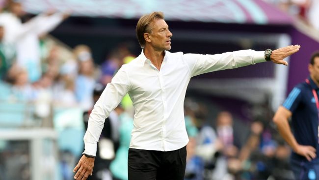 Hervé Renard sacked by Saudi Arabia before World Cup