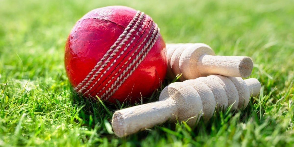 How South Africa marched unbeaten to the T20 World Cup semi-finals