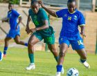 Super Falcons Defeat Tanzania 2-1 as Ajibade Shines in Final WAFCON Warm-Up