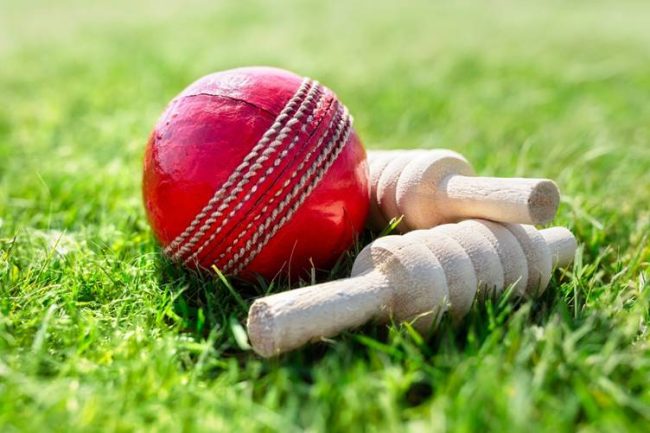 How South Africa marched unbeaten to the T20 World Cup semi-finals