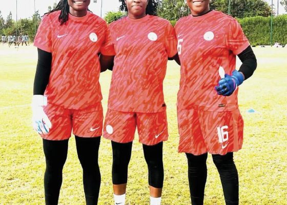 WAFCON 2026: Madugu May Consider New Goalkeeping Option Ahead of South Africa Clash