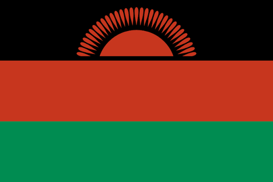 AFCON 2027 Qualifiers: Adepoju Gives Malawi Half-Time Lead