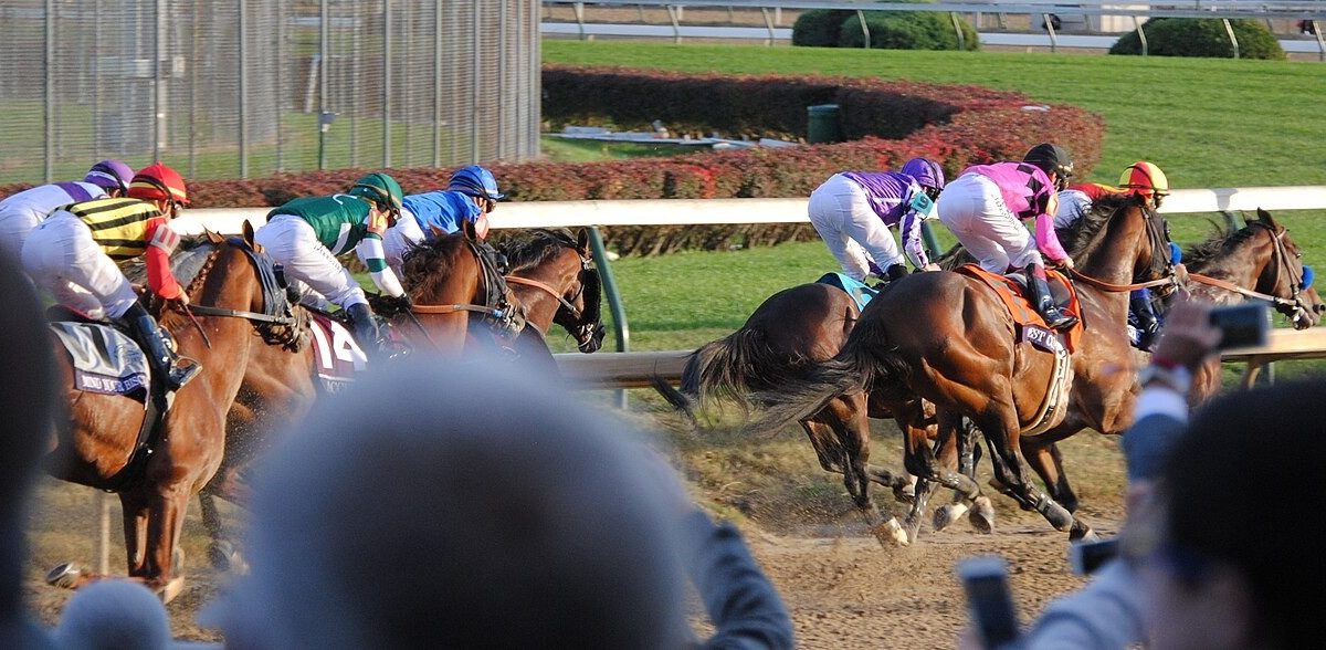 How To Analyze Breeders’ Cup Odds Before The Race