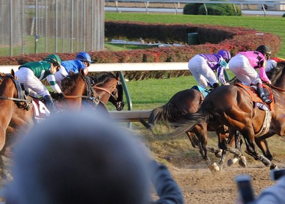 How To Analyze Breeders’ Cup Odds Before The Race